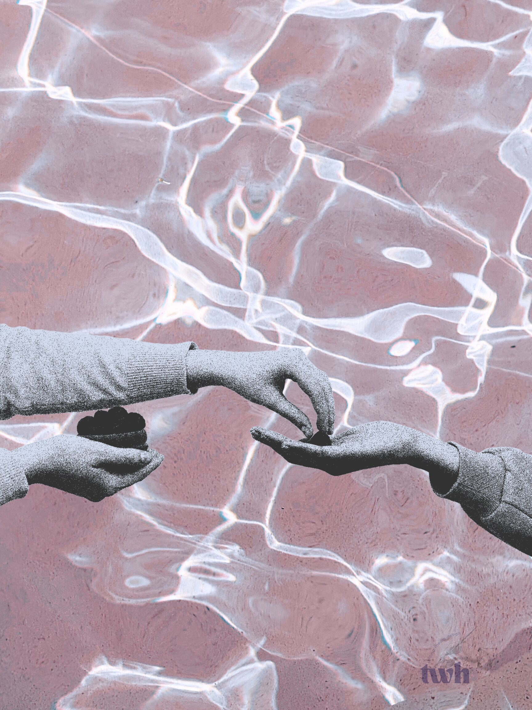 Externalities and Privatization: The Bolivian Water War of 2000